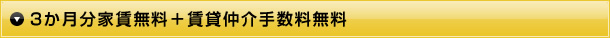 3か月分家賃無料＋賃貸仲介手数料無料